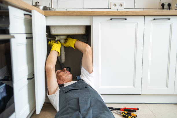 Best Affordable Plumber Near Me  in Comstock Northwest, MI