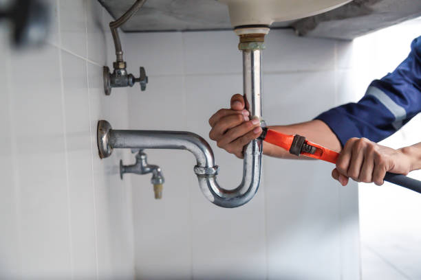Best Plumbing Inspection Services  in Comstock Northwest, MI